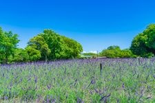 Tourist destination images of Arako River Park(1)