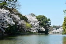 Tourist destination images of Ōike Park(3)