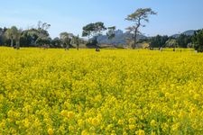 Tourist destination images of Mukaiyama Ryokuchi(3)