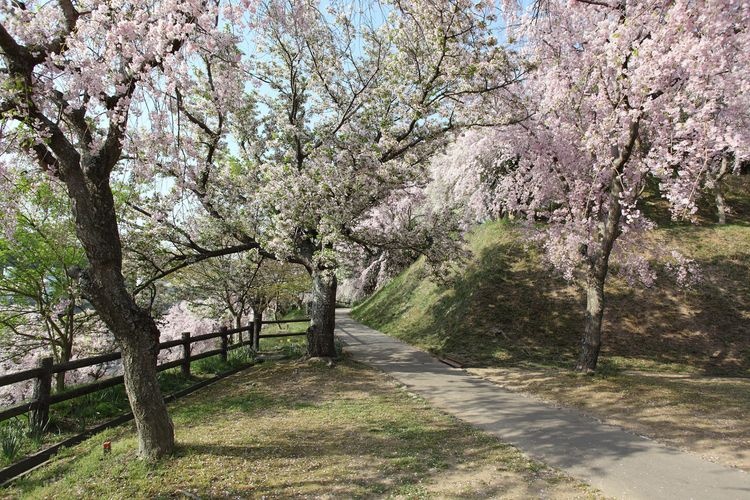 Koda Cultural Park