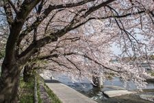 Tourist destination images of Kamogawa Park(1)