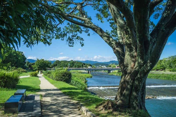 Tourist destination images of Kamogawa Park(2)