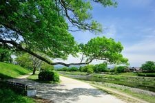 Tourist destination images of Kamogawa Park(2)