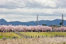 Tourist destination images of Sayama Pond Park(2)