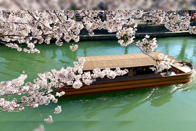 Tourist destination images of Okazaki Sakura Corridor(2)