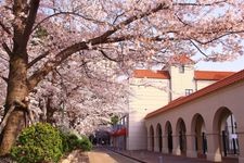 Tourist destination images of Hanano Michi (Flower Path)(2)