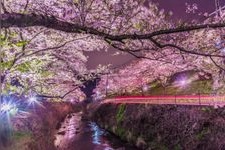 Tourist destination images of Yamanaka Kei(1)