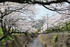 Tourist destination images of Yamanaka Kei(2)