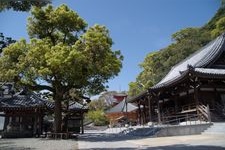 須磨寺（福祥寺）的觀光景點圖片(3)