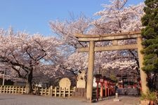 Tourist destination images of Rokusonou Jinja Shrine(4)