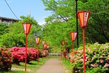 Tourist destination images of Hinoyama Park(2)
