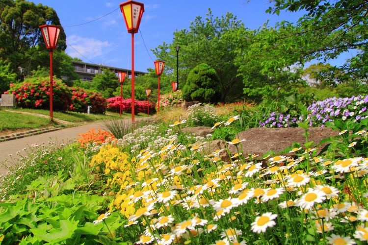 日岡山公園