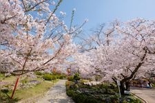 Tourist destination images of Hinoyama Park(3)