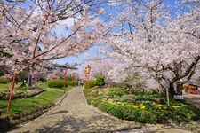 Tourist destination images of Hinoyama Park(3)