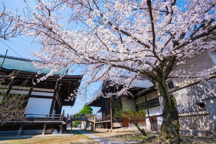 Myoken-ji Temple