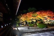 Tourist destination images of Myoken-ji Temple(2)