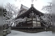 Tourist destination images of Myoken-ji Temple(4)