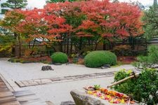 Tourist destination images of Myoken-ji Temple(5)