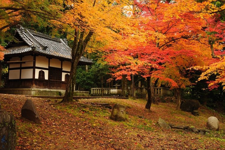 岩屋寺