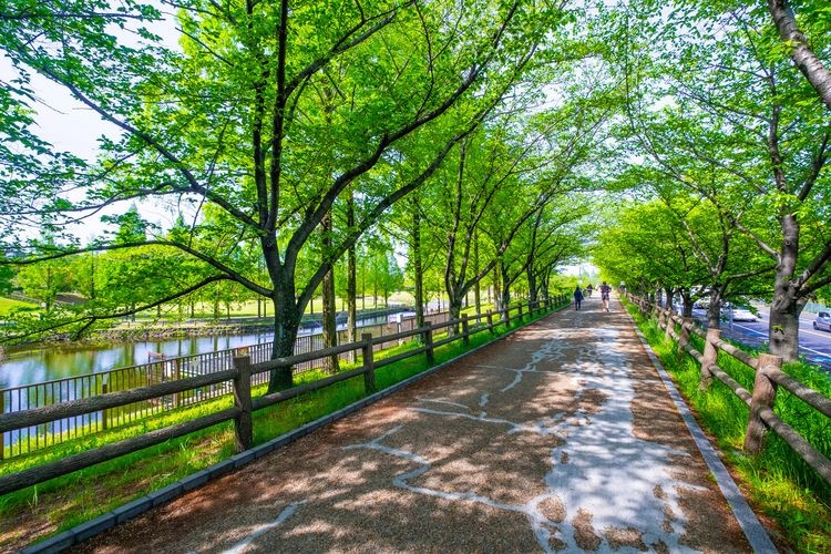 打上川治水绿地的旅游景点图片(2)