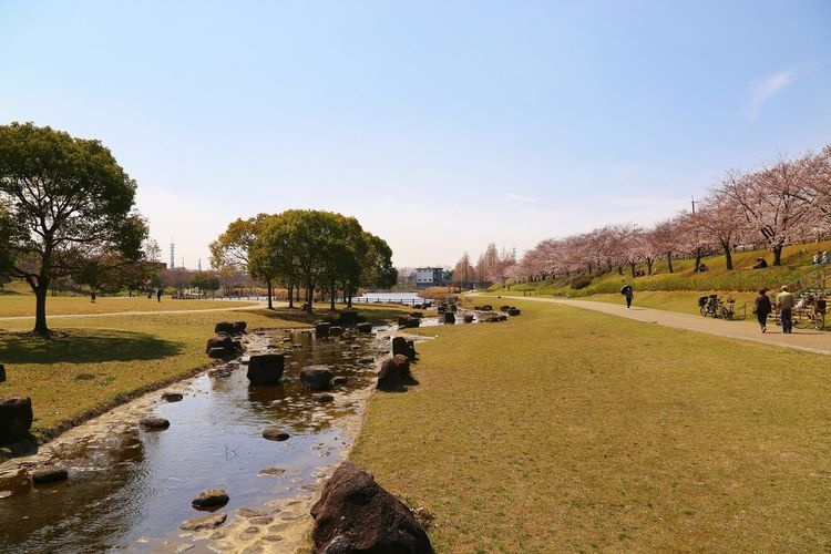 打上川治水绿地的旅游景点图片(3)