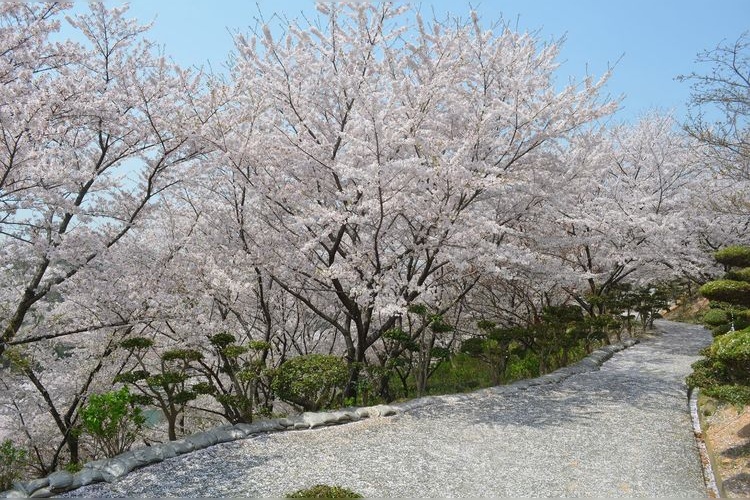 다네마쓰야마 공원 서쪽 지구