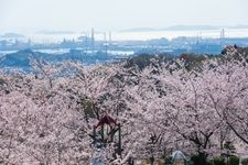 種松山公園西園地の観光地画像(2)