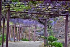 種松山公園西園地の観光地画像(1)