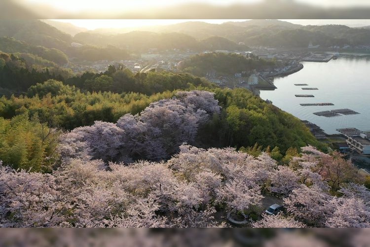 Shofukujiyama Park