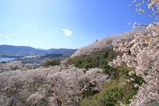 Tourist destination images of Shofukujiyama Park(3)