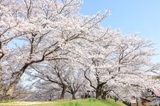 Tourist destination images of Sakutsu Park(2)