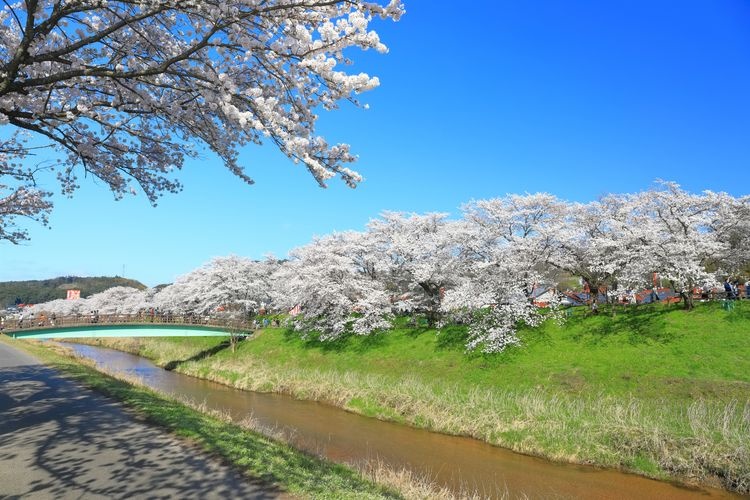 Ribera del río Hii (Hiikawa)