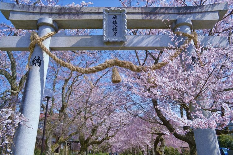 Tokusa Hachimangu Shrine