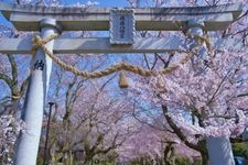 Tourist destination images of Tokusa Hachimangu Shrine(1)