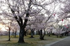 Tourist destination images of Hayashima Park(1)