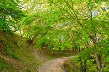 菊池公園的觀光景點圖片(2)