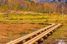 Tourist destination images of Tanohara Marsh(2)