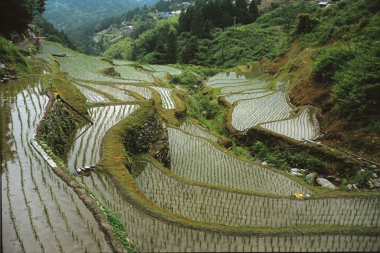 Shiage no Tanada Rice Terraces