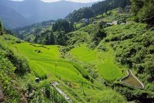 Tourist destination images of Shiage no Tanada Rice Terraces(2)