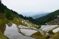 Tourist destination images of Izumidani Rice Terraces(2)