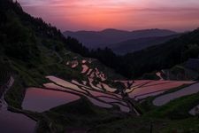 Tourist destination images of Izumidani Rice Terraces(1)