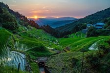 Tourist destination images of Izumidani Rice Terraces(2)