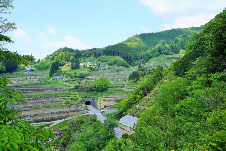 Jinzaisho's Senmaida (Thousand Rice Paddies)