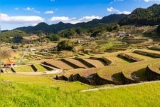 Tourist destination images of Onigaki Rice Terraces(3)