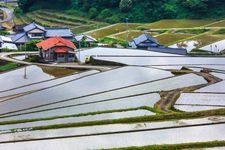 鬼木梯田的旅游景点图片(3)