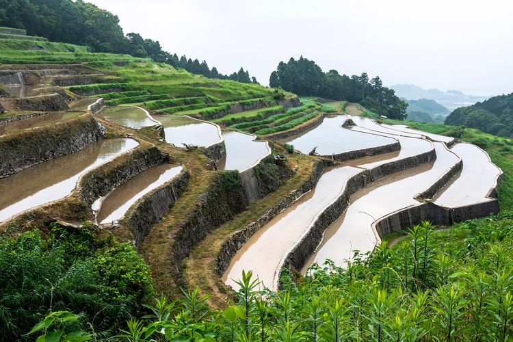 谷水梯田