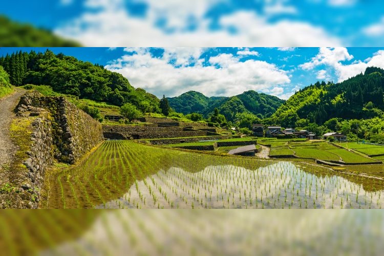 Onoguchi Rice Terraces