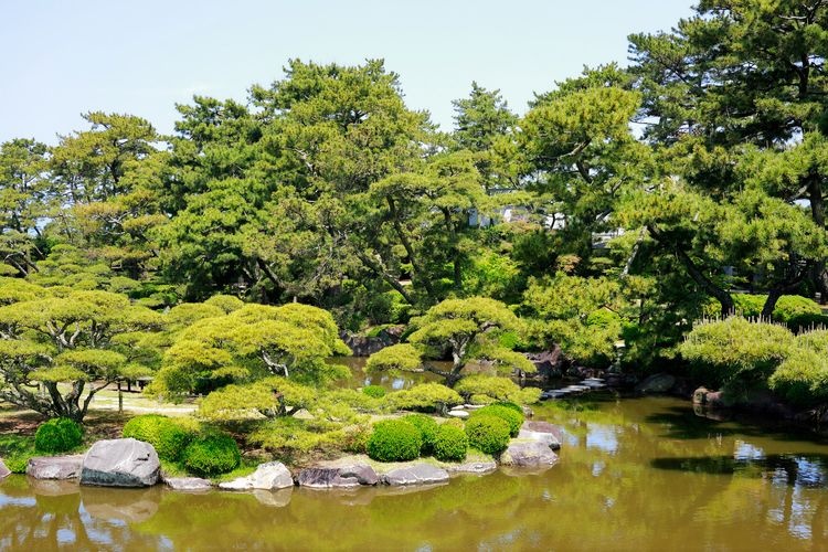 Nakatsu Banshoen Garden & Marugame Museum