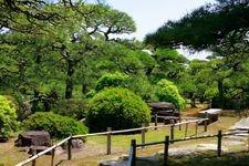 Tourist destination images of Nakatsu Banshoen Garden & Marugame Museum(2)