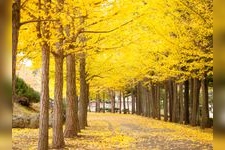 Tourist destination images of Nishi-oka Park(1)